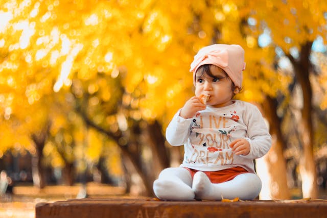 todo sobre baby-led weaning
